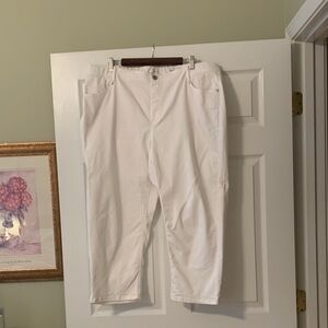 J. Jill Women's White Chinos c